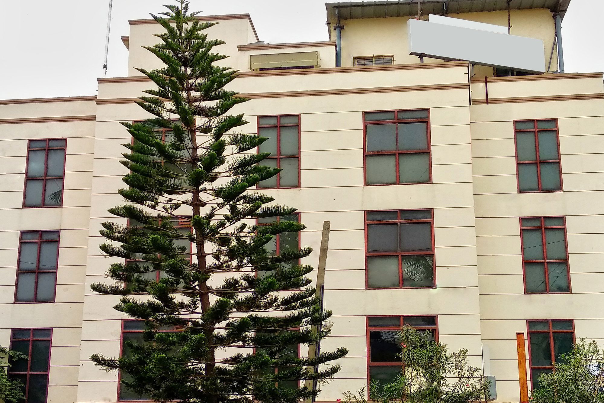 Oyo 539 Hotel Pearl Inn 班加罗尔 外观 照片